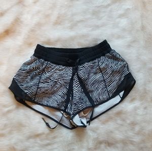 Lulu 4 zebra shorts - seawheeze special edition